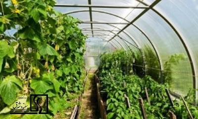 طرح توجیهی مقدماتی احداث مجتمع های گلخانه‌ای جهت تولید محصولات کشاورزی-گل و گیاهان زینتی،سبزی و صیفی و میوه و قارچ خوراکی